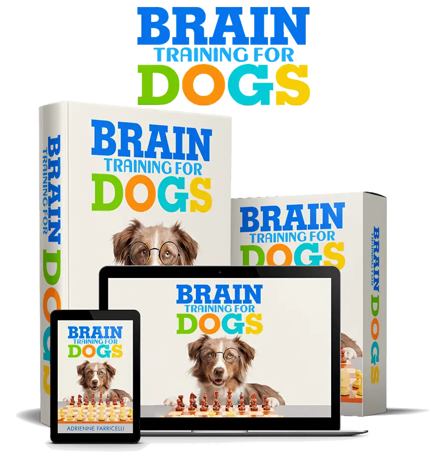 brain training for dogs pricing